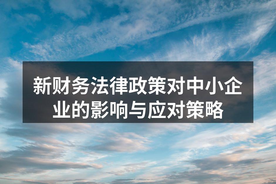 新财务法律政策对中小企业的影响与应对策略